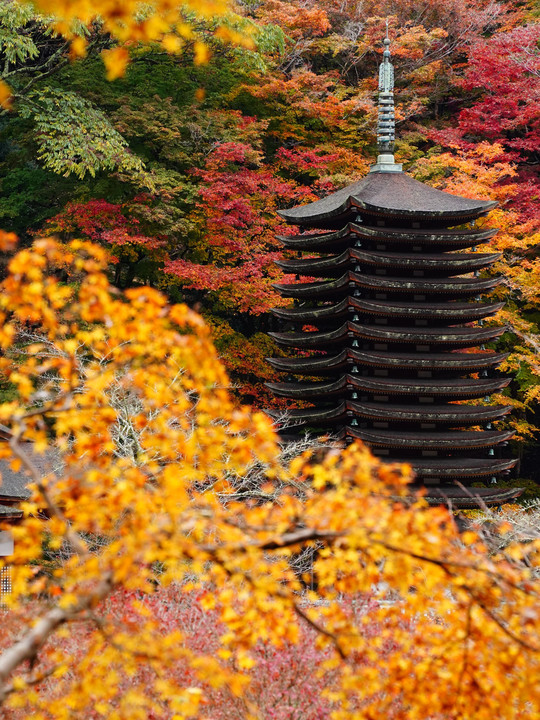 談山神社(奈良)紅葉