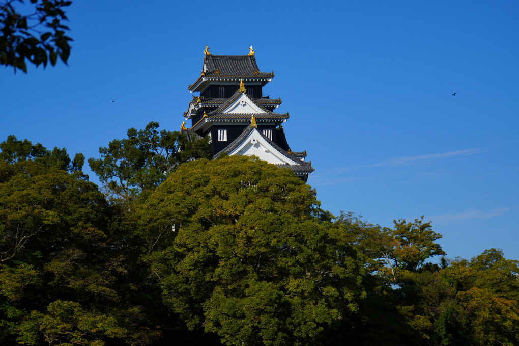 新・岡山城 いよいよ2022年11月3日にリニューアルオープン！