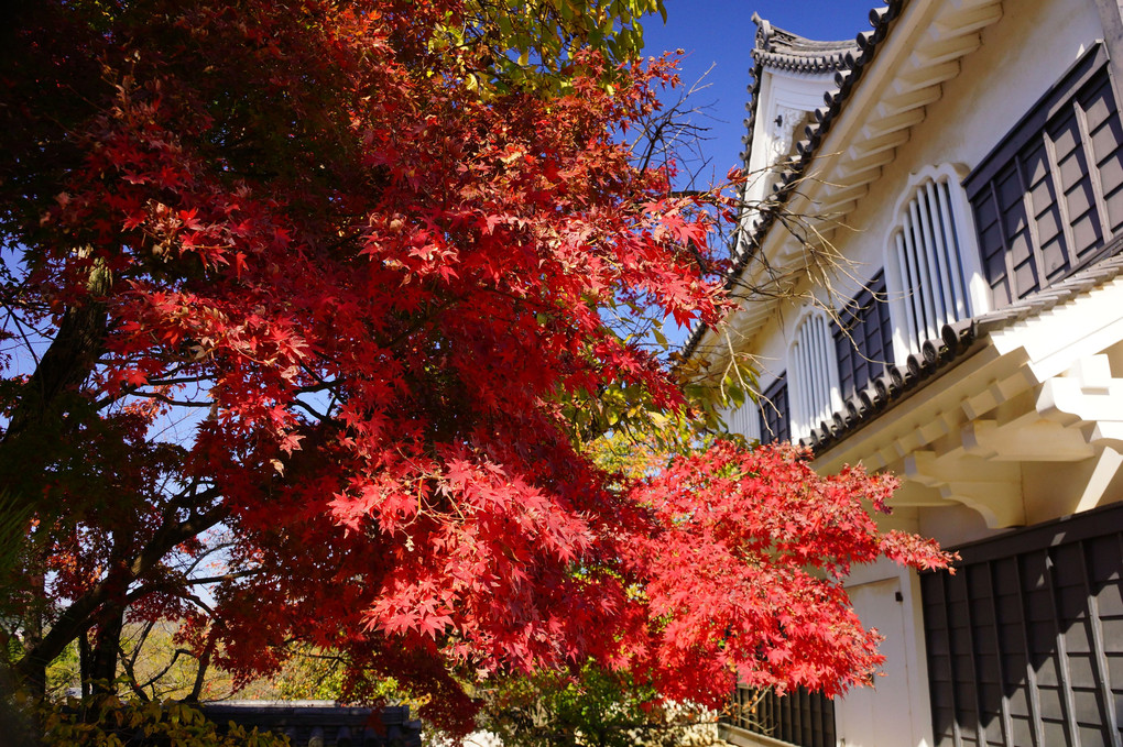 紅葉の岡山観光