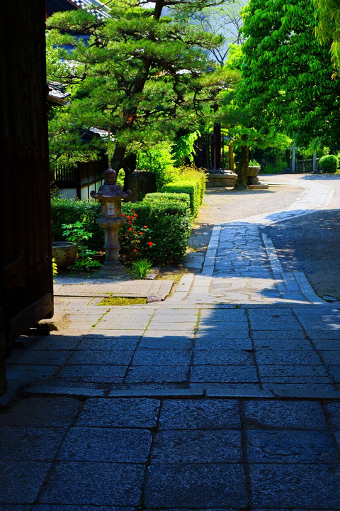 京都ブラブラ散歩ー8年間の空白をうめる