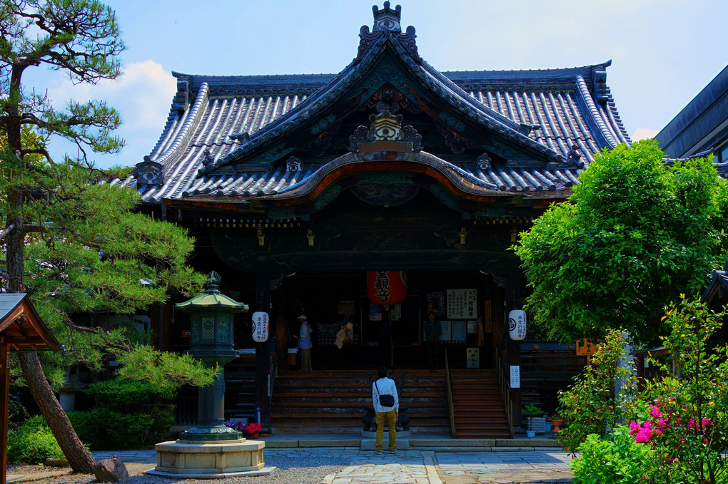 京都ブラブラ散歩ー8年間の空白をうめる