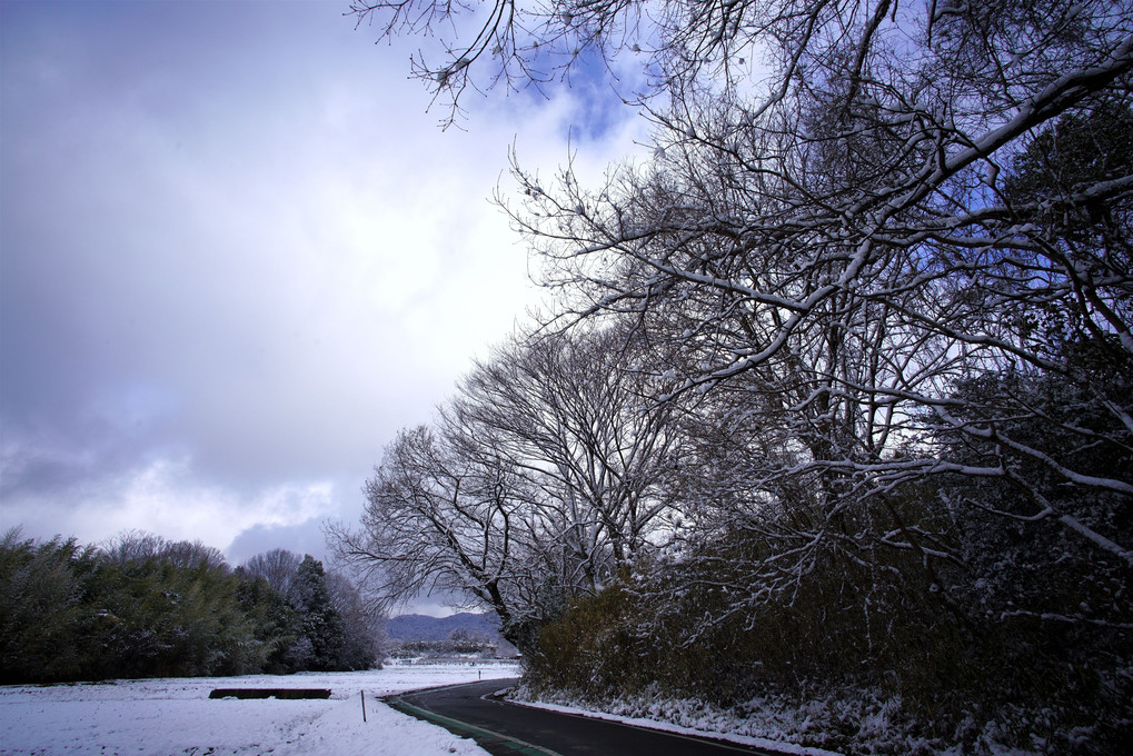 雪景色