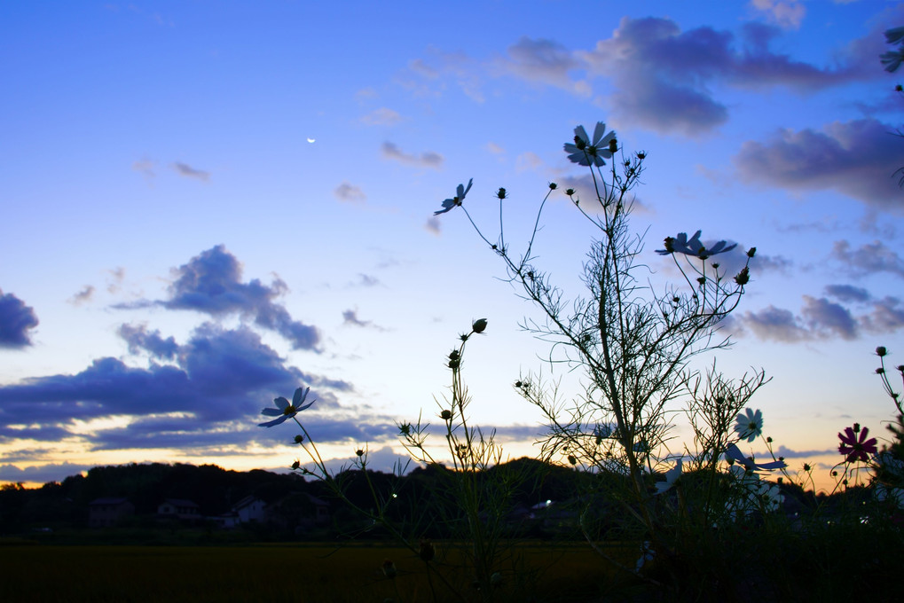 静かな秋の空と燃える秋の空