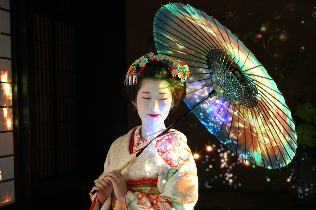 花とデジタルアートの祭典　　　名古屋　舞妓さん