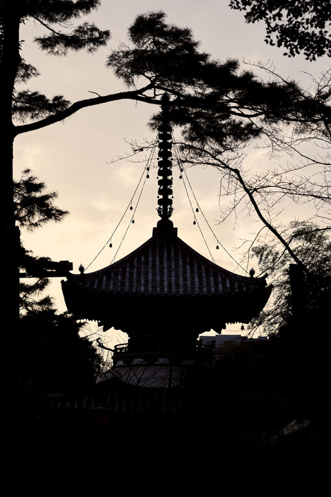 silhouette of temple