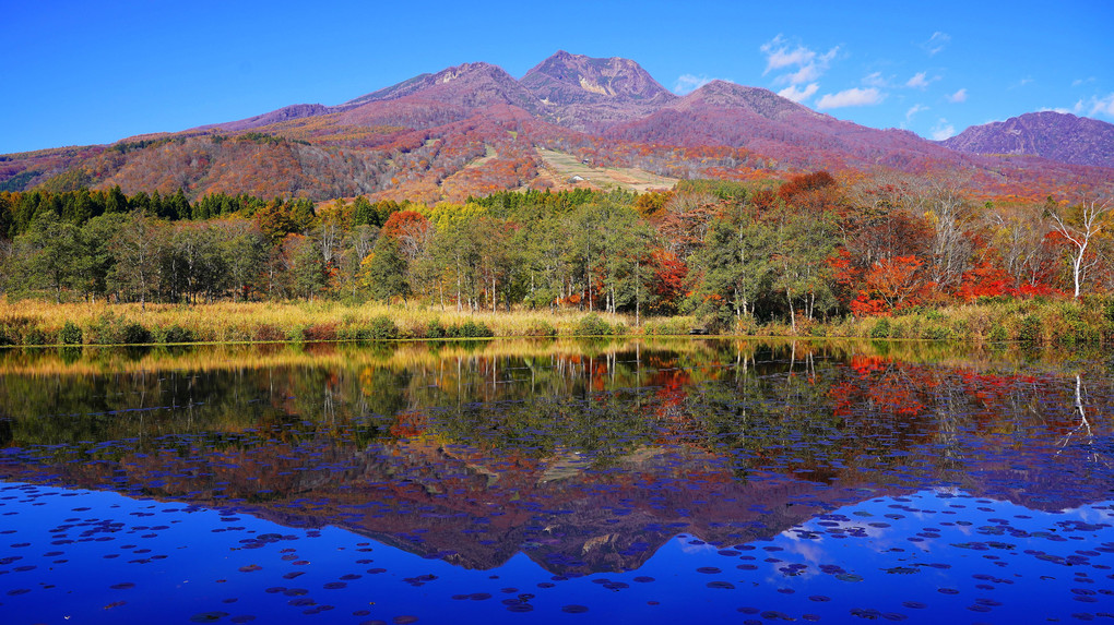 妙高山を写す紅葉のいもり池