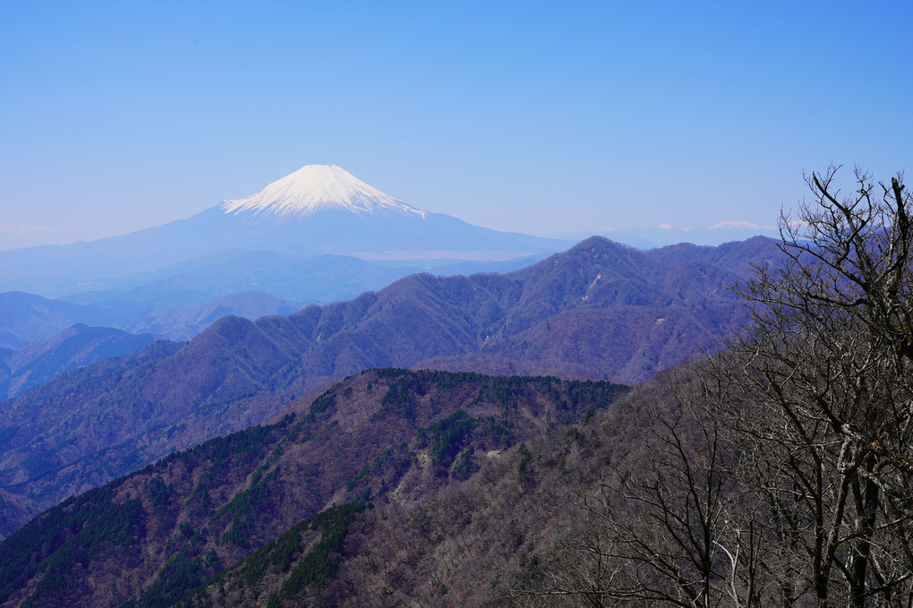 晴天の丹沢2