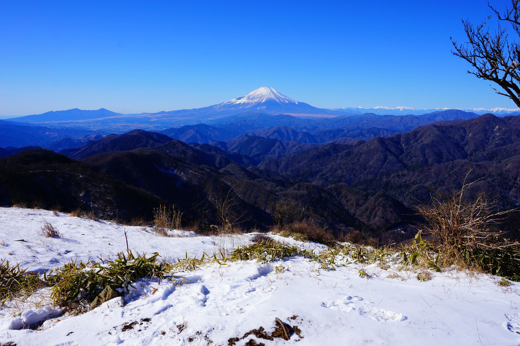 薄雪化粧の丹沢山地からの眺め