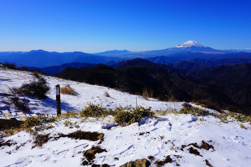 薄雪化粧の丹沢山地からの眺め