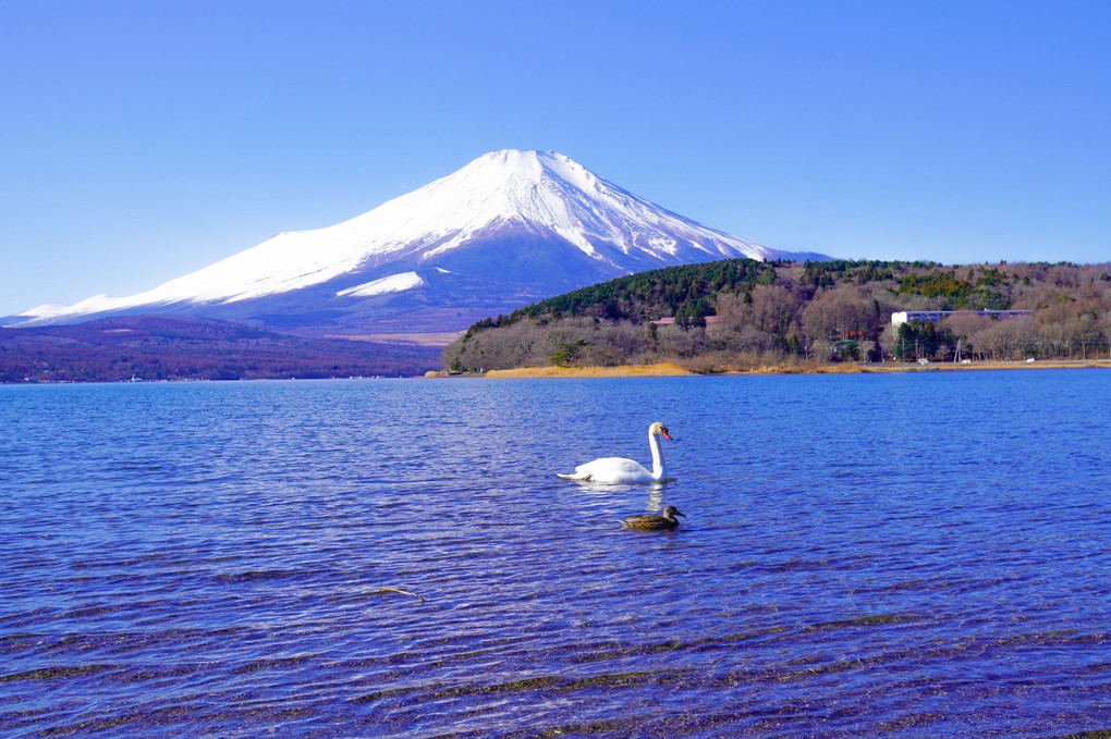 2022年富士山見納め