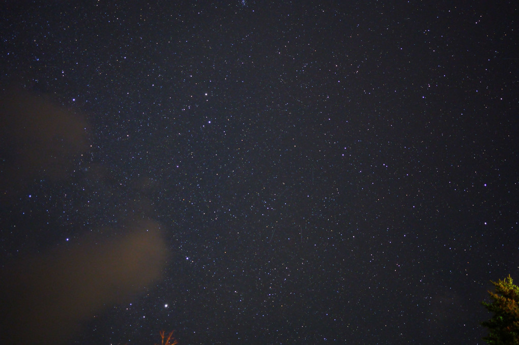 Koumi's starry sky