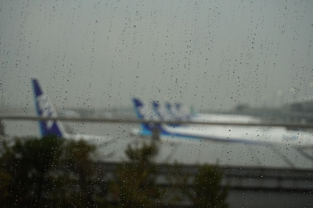 3年ぶりの遠出、羽田は雨でした。