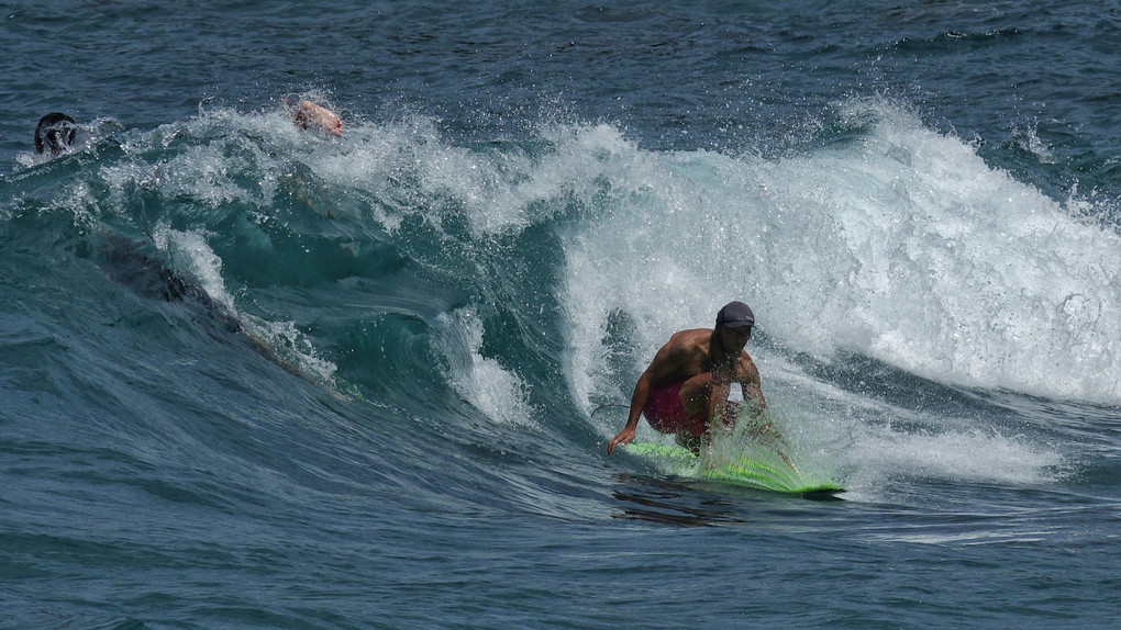 surfing夏夏夏夏island