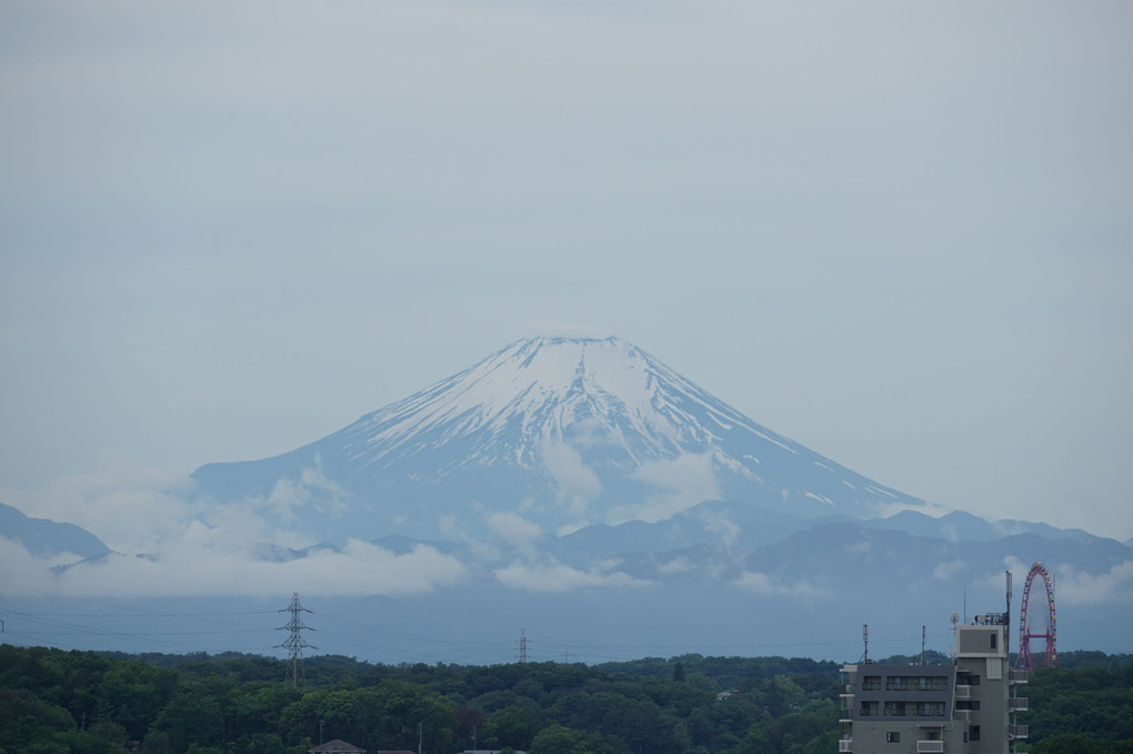 雨上がりに富士山