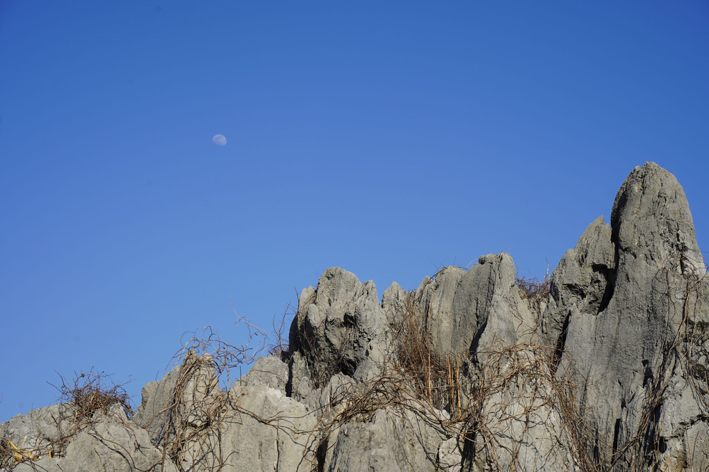 岩と月