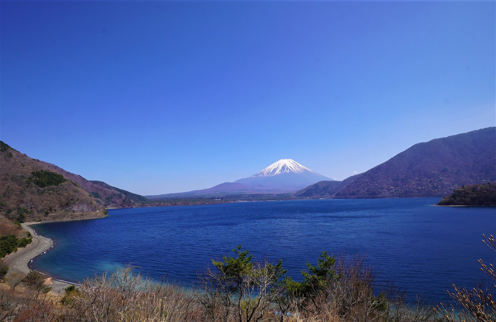 富士山ｙｋ