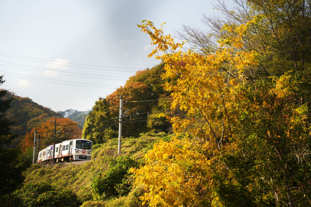 上信電鉄、秋の不通渓谷を行く。