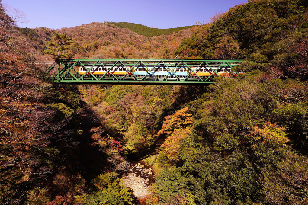 箱根路　2022秋