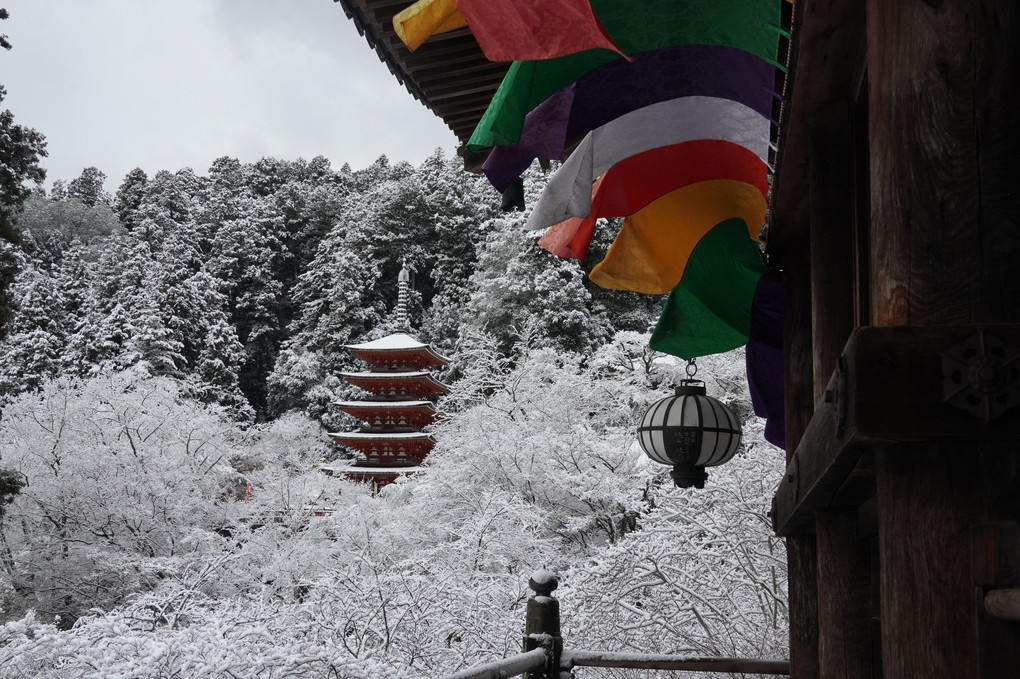長谷寺雪化粧