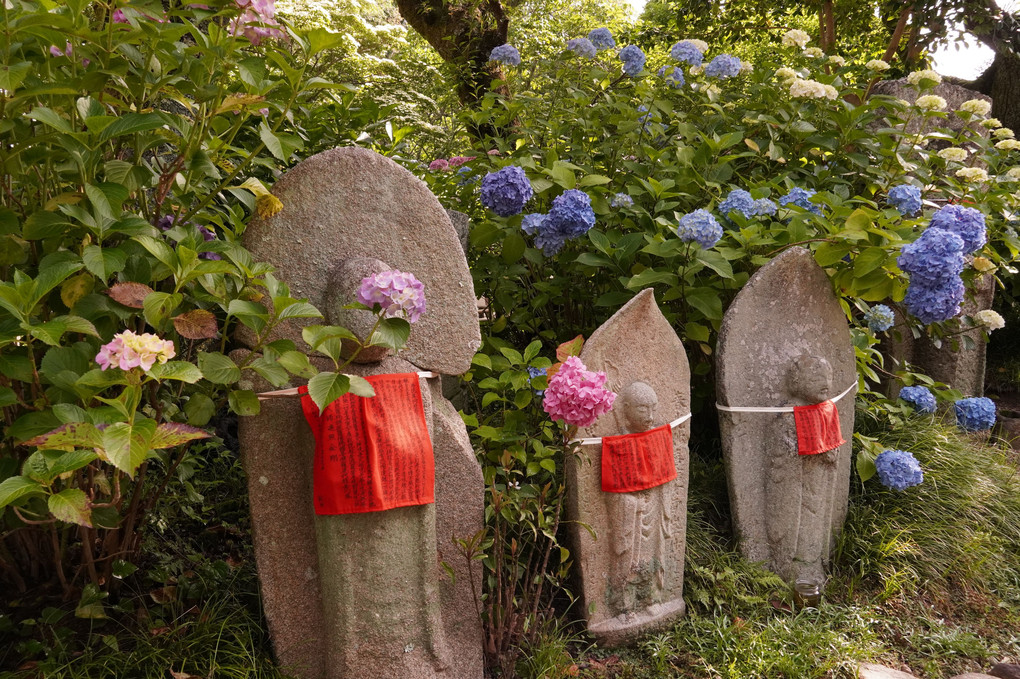 お地蔵さまとあじさいの寺