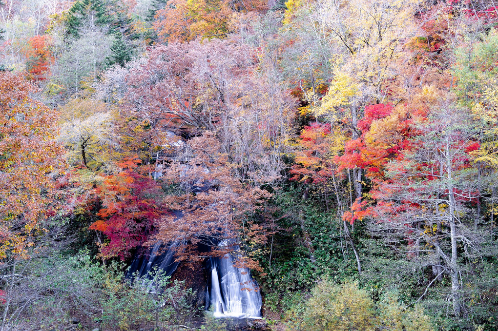 山を彩る紅葉