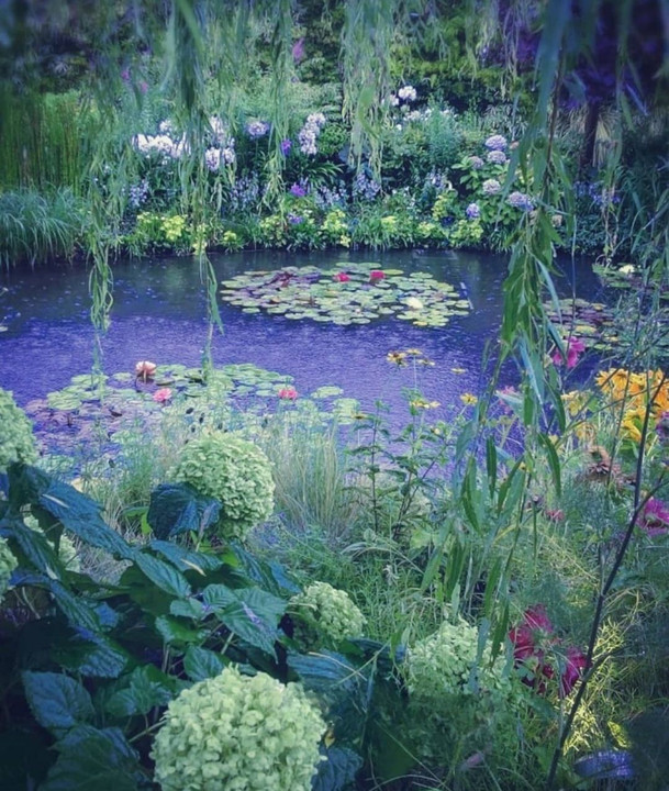 土砂降りの「食と緑の食中庭園  」 