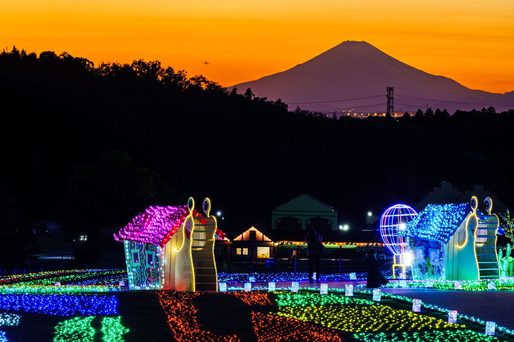 富士山が見守るイルミネーション
