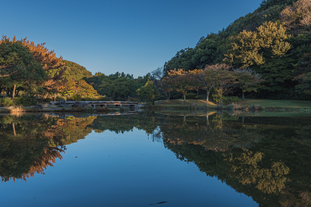 秋晴れのひょうたん池