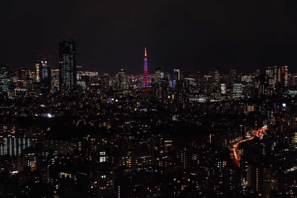 東京タワー 11月限定色