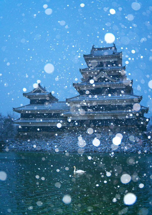 雪と城と白鳥と