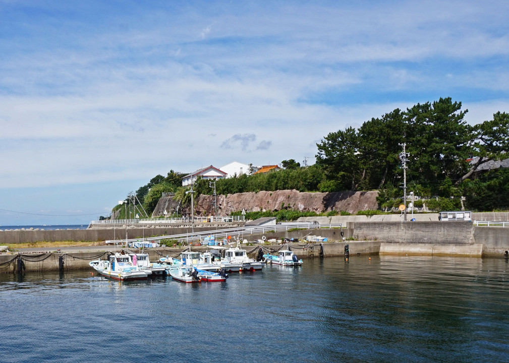 夏の漁港