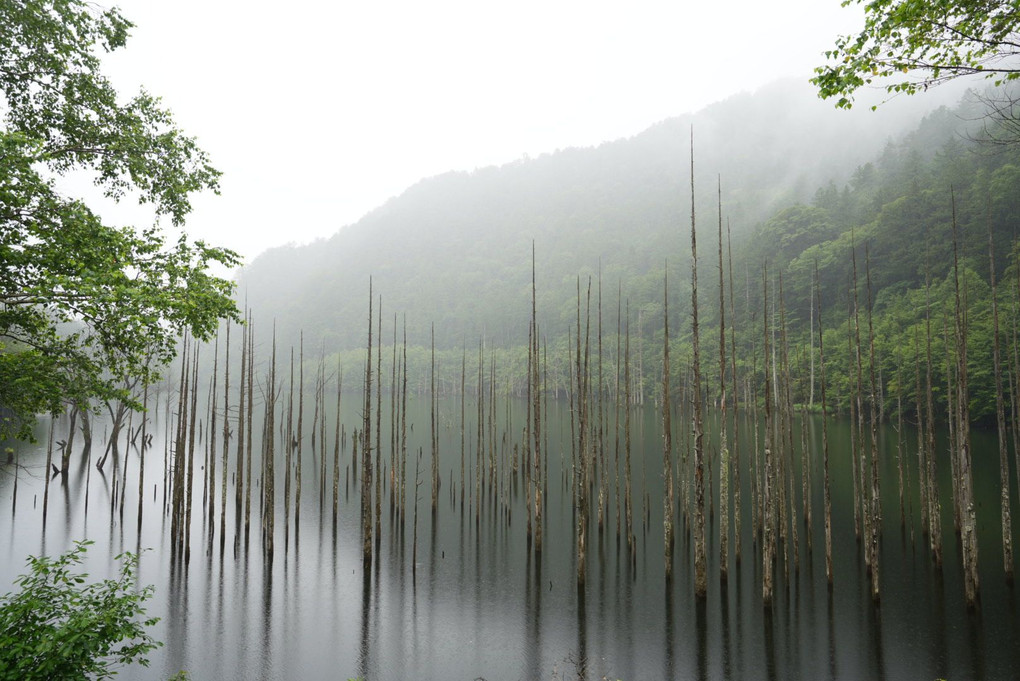 雨の自然湖
