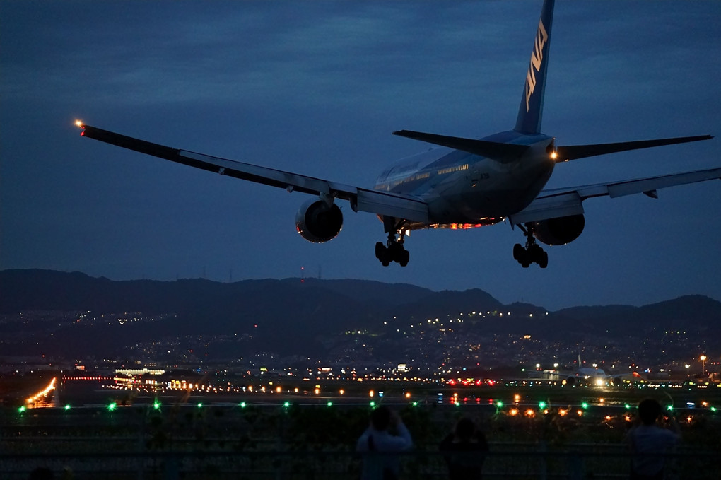 飛行機　千里川土手