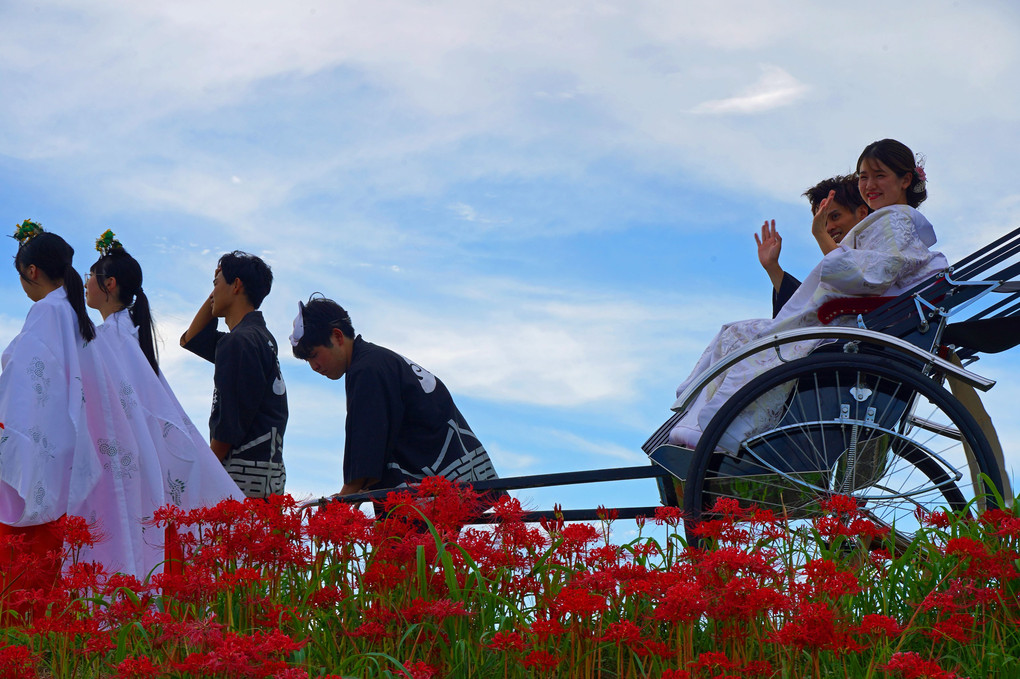 矢勝川堤の花嫁行列