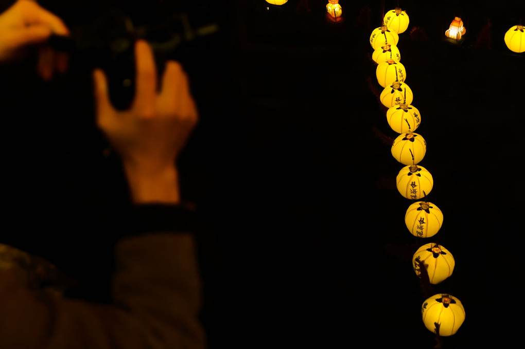 中島川に沈む燈籠