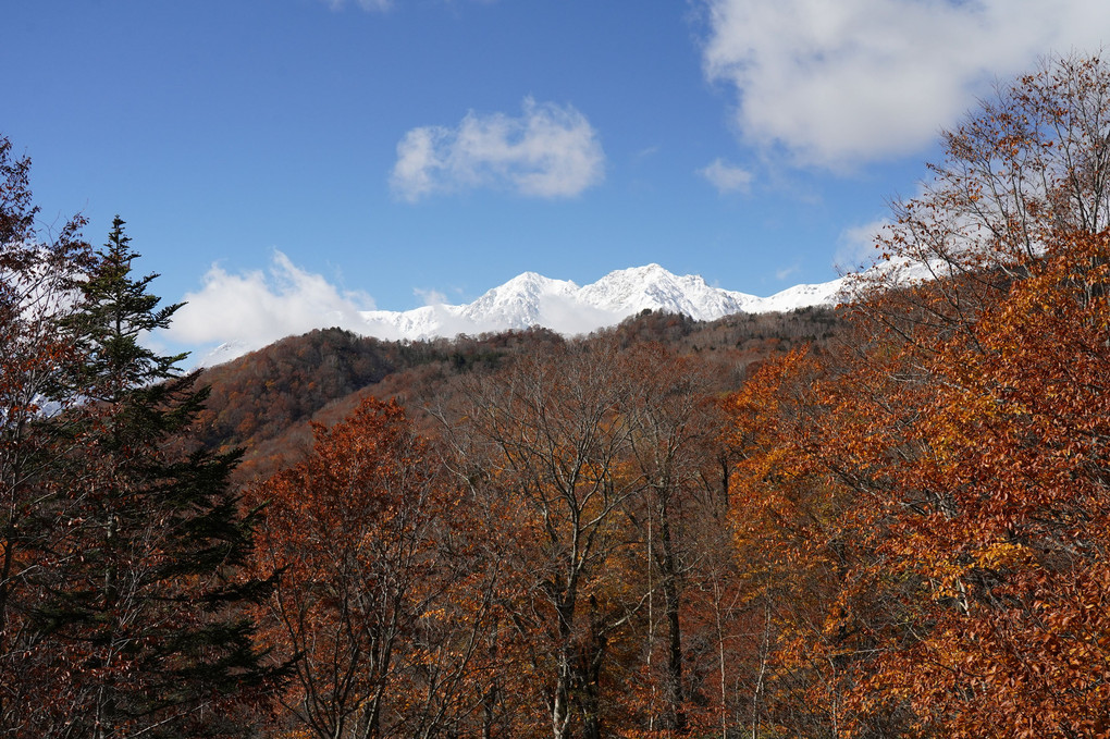 紅葉と新雪の峰