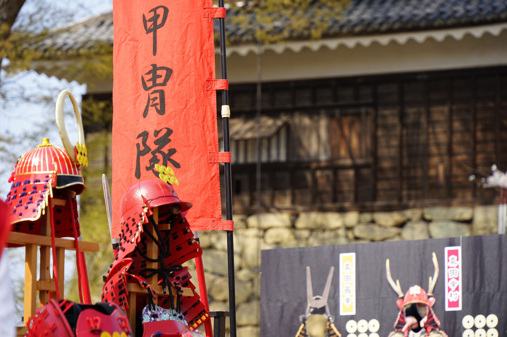 上田城千本桜祭