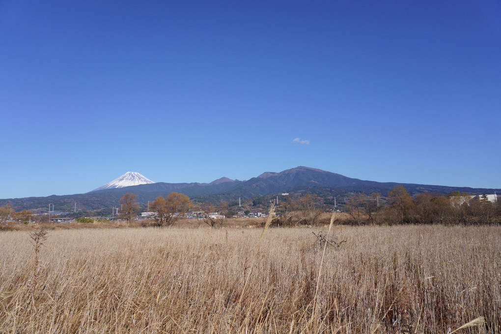 2023新春の富士山と愛鷹山