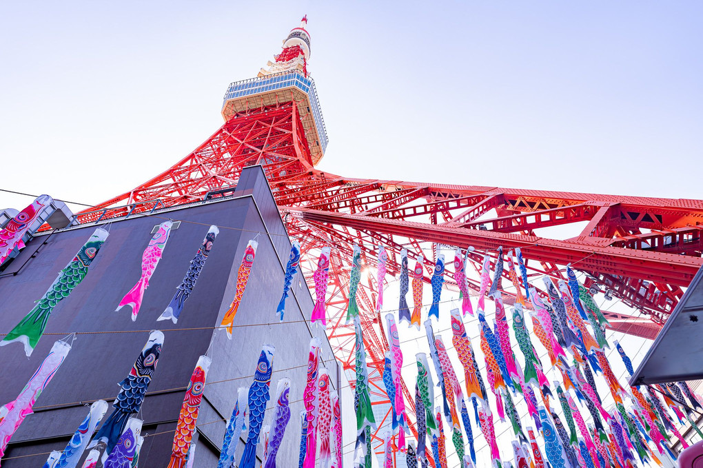東京タワーと鯉のぼり