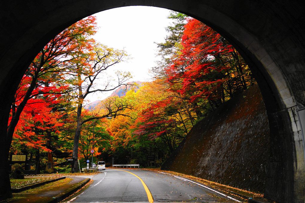 トンネルの向こうの秋