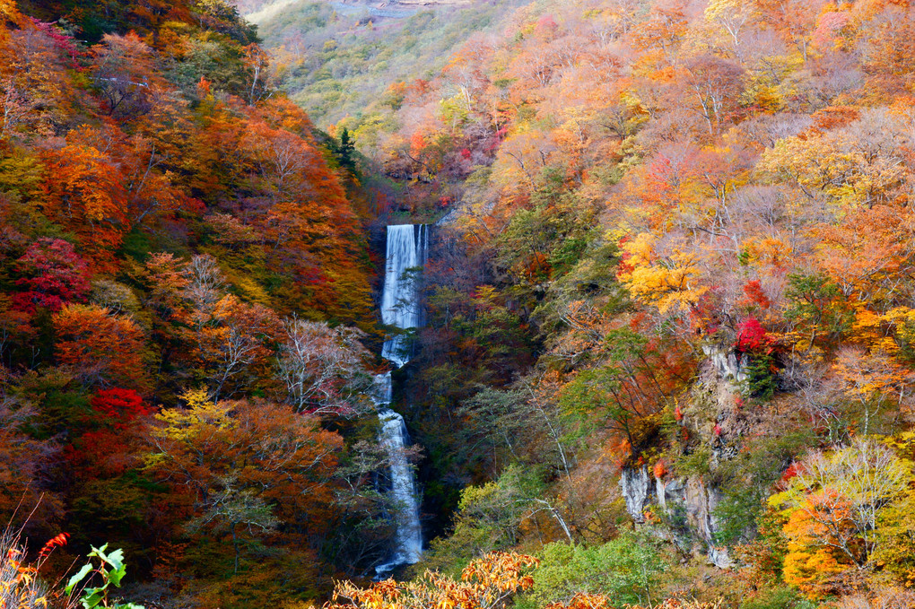 紅葉と滝