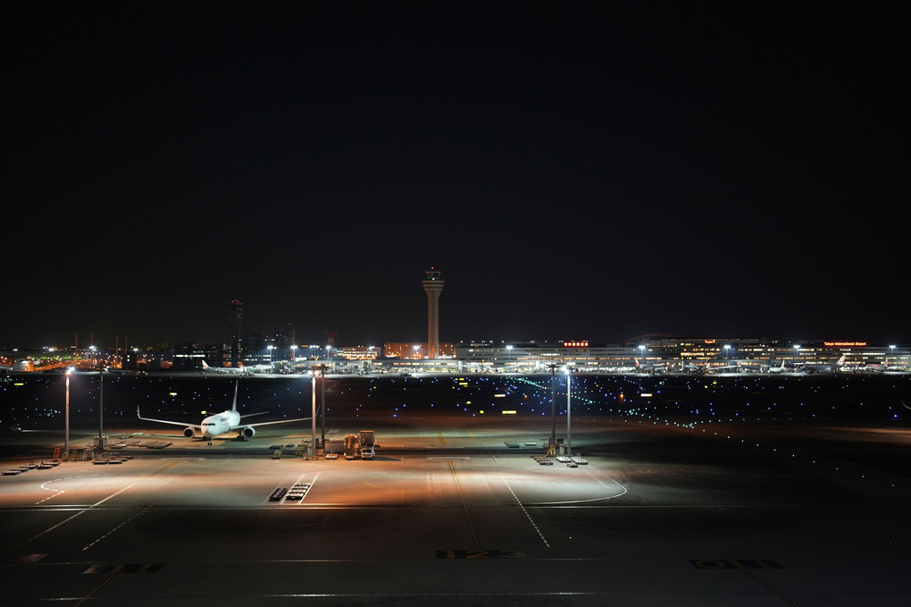 DELTA airline A330 To Seattle