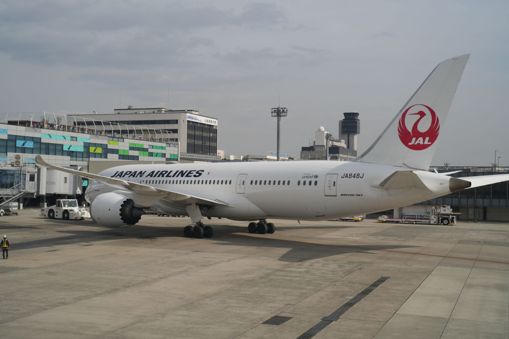 JAL119 羽田→伊丹