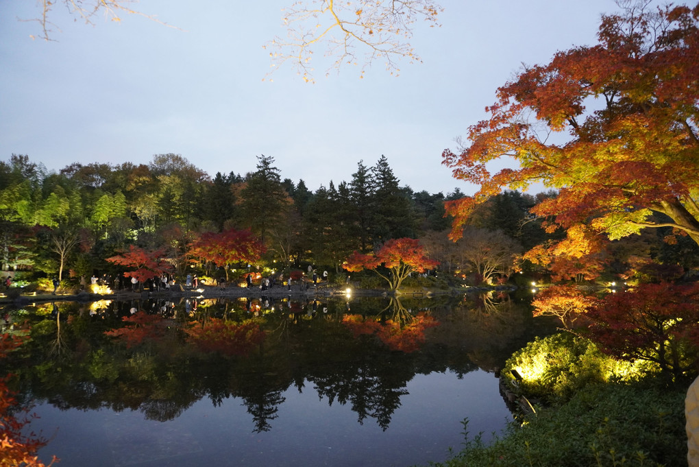 国営昭和記念公園　秋の夜散歩