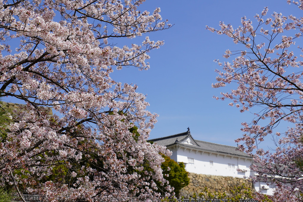 久しぶりの外出