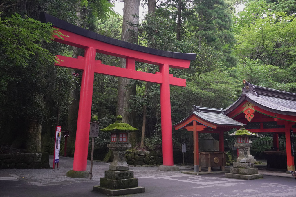 パワースポット箱根神社