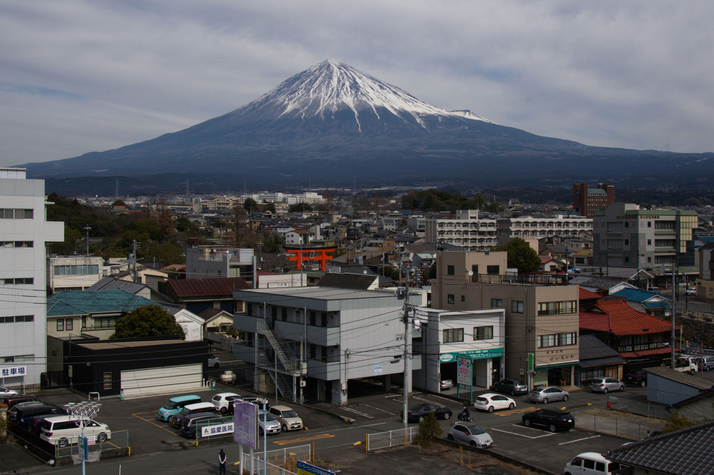 弥生の富士山　どっしりと富士の街