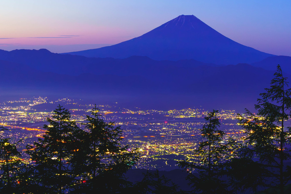 甘利山から甲府盆地の夜景と富士山