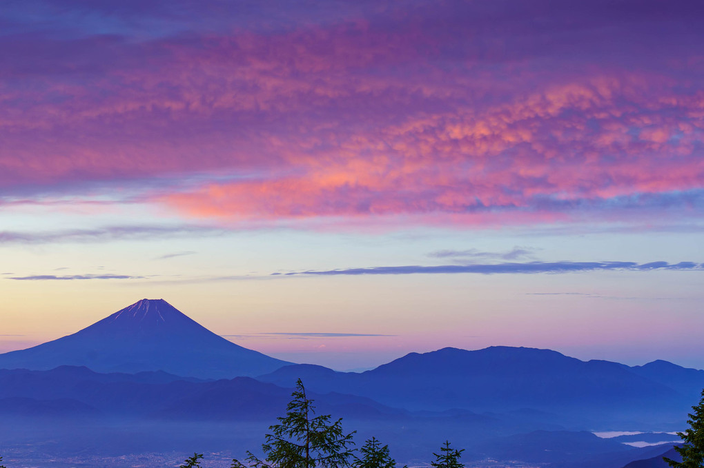 甘利山から　夜明けの富士山
