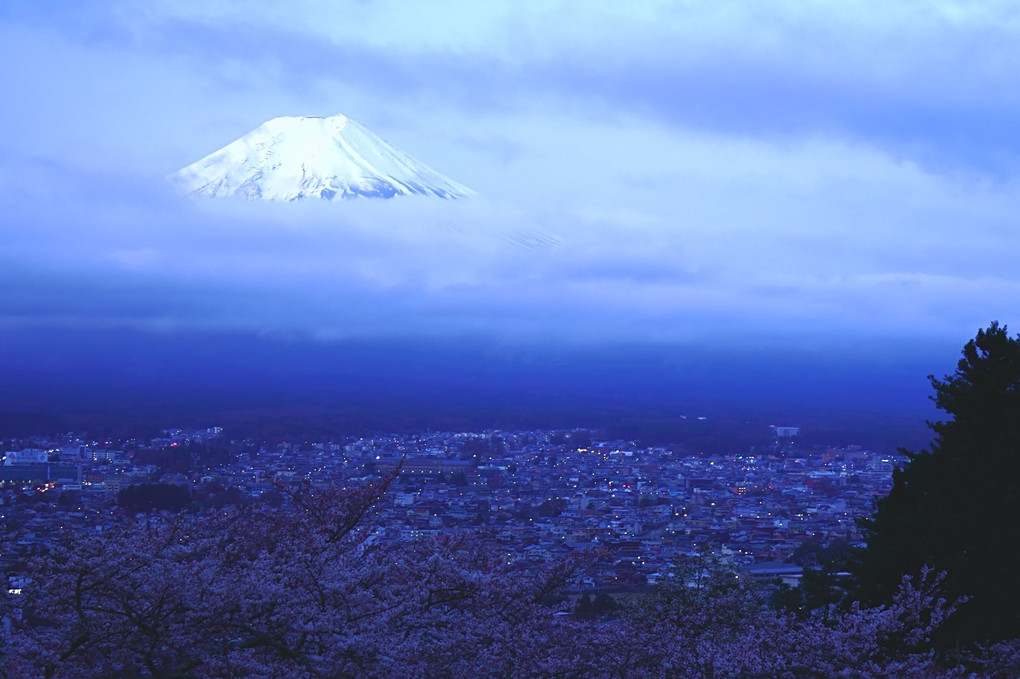 卯月の富士山　新倉富士浅間神社の早朝
